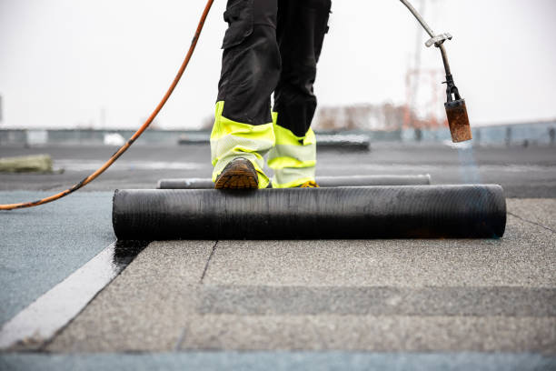 Best Roof Moss and Algae Removal  in Weaverville, NC